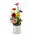 Box of flowers